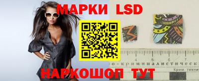 гидра Будённовск