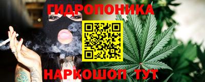 гидра Будённовск