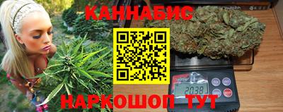 гидра Будённовск