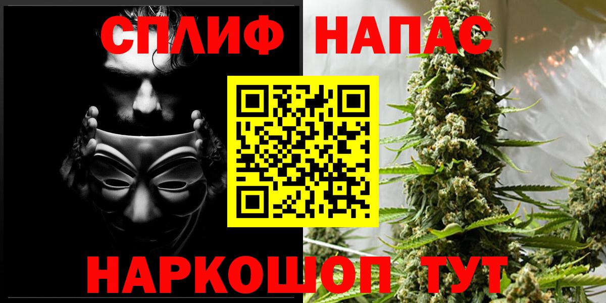 Малоярославец  Каннабис планчик  Конопля конопля  Бошки Шишки сатива  Вход с VPN  Бошки марихуана Ganja 
